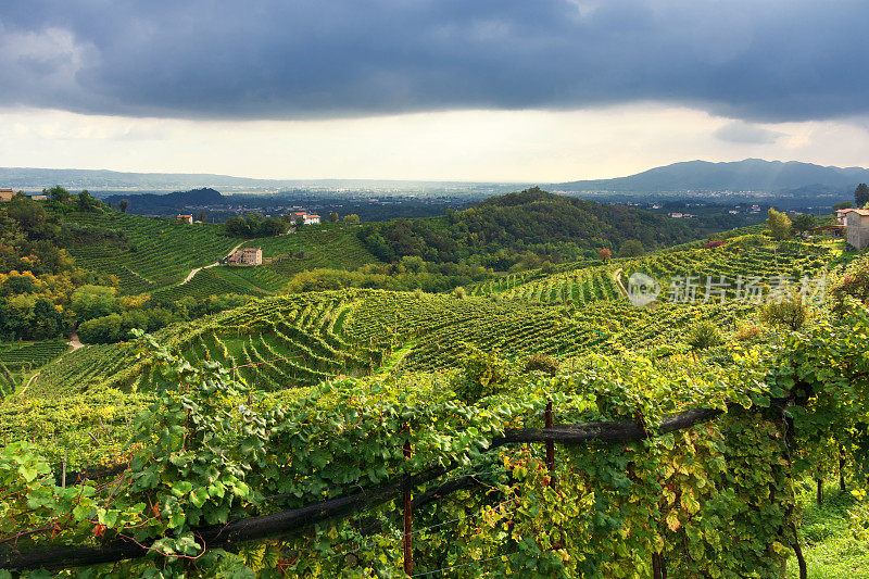 Valdobbiadene -秋季普洛赛科山